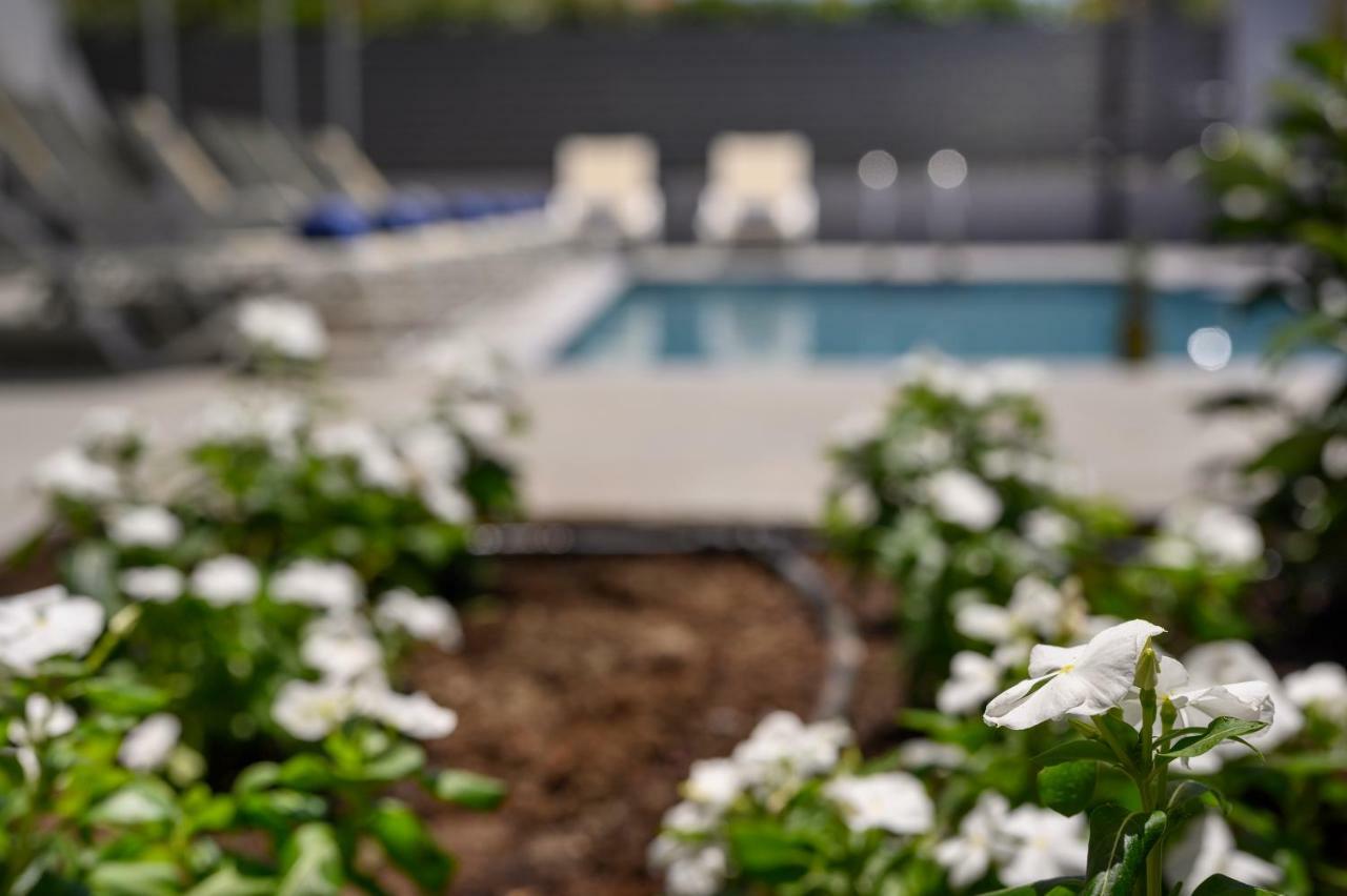Athina Suites Luxury Suites Near The Sea Platanias Platanés エクステリア 写真